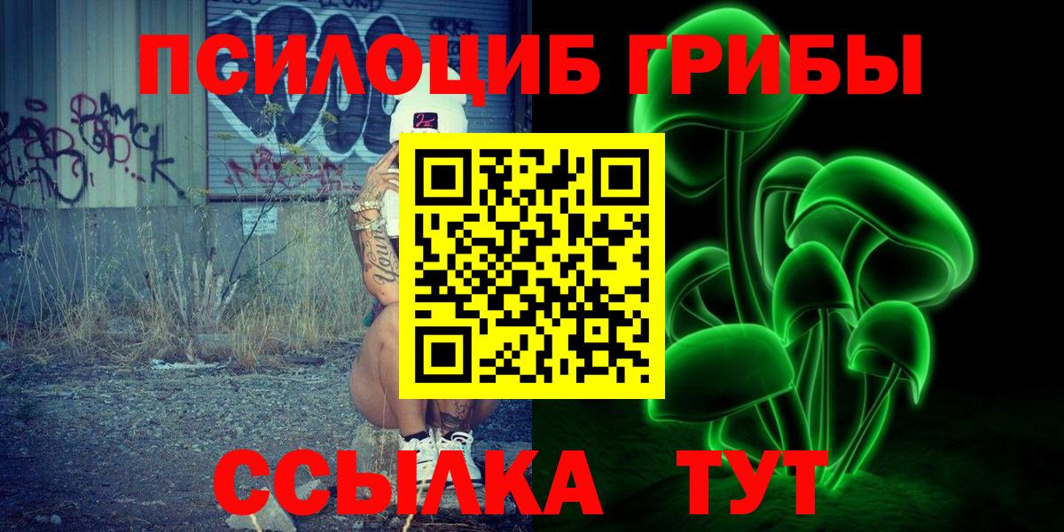 Карпинск  Галлюциногенные грибы Psilocybine cubensis  Вход с VPN 